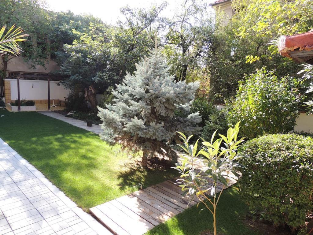 Fantasy Apartaments And Studios Avenue Комплекс Фантазия Хисаря ภายนอก รูปภาพ